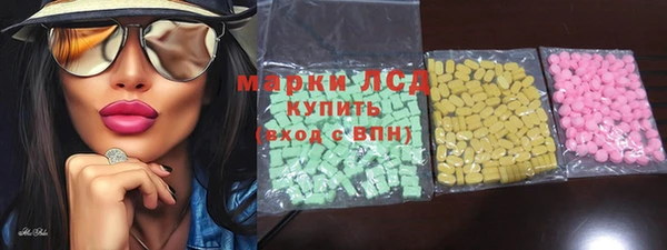 сатива Инта