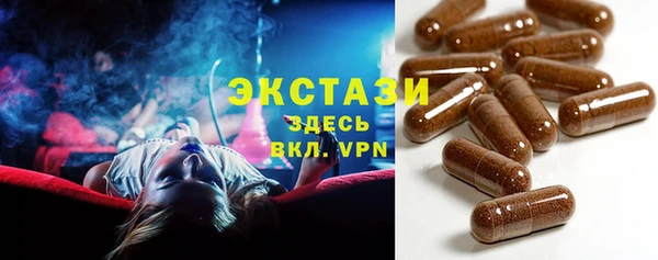 сатива Инта
