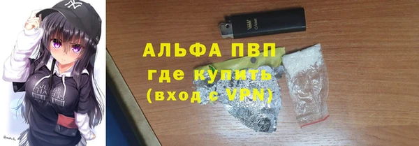 сатива Инта