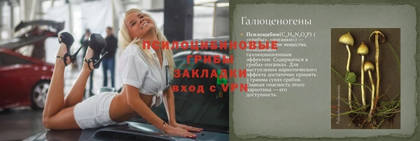 сатива Инта