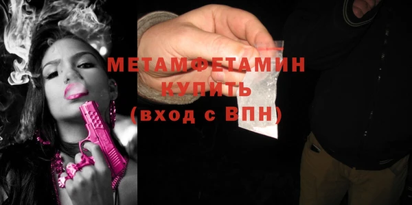 сатива Инта