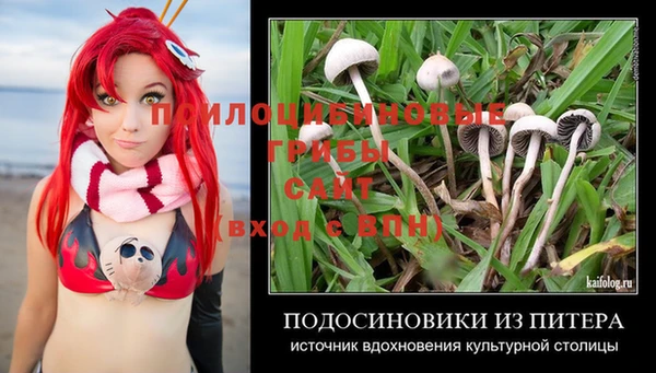 стафф Инсар