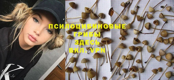 стафф Инсар