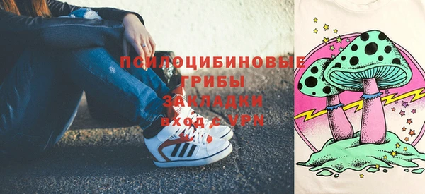 сатива Инта
