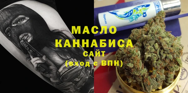 сатива Инта