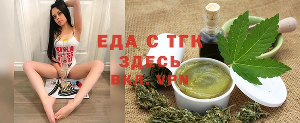 сатива Инта