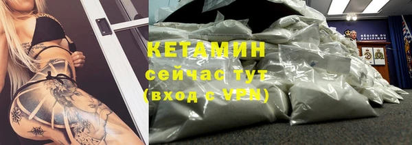 сатива Инта