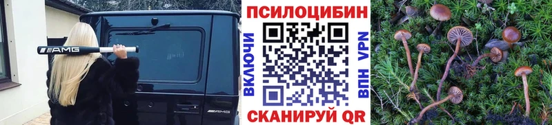Купить где  Любань  Галлюциногенные грибы Magic Shrooms 