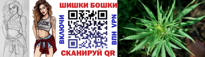 Бошки марихуана марихуана  Купить  Любань 